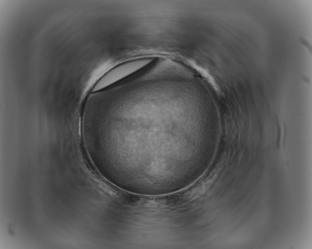 X0000091011365200708241503