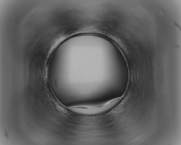 X0000091011366200708241503