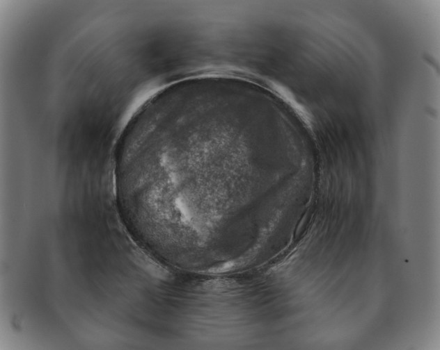 X0000091011368200708241503