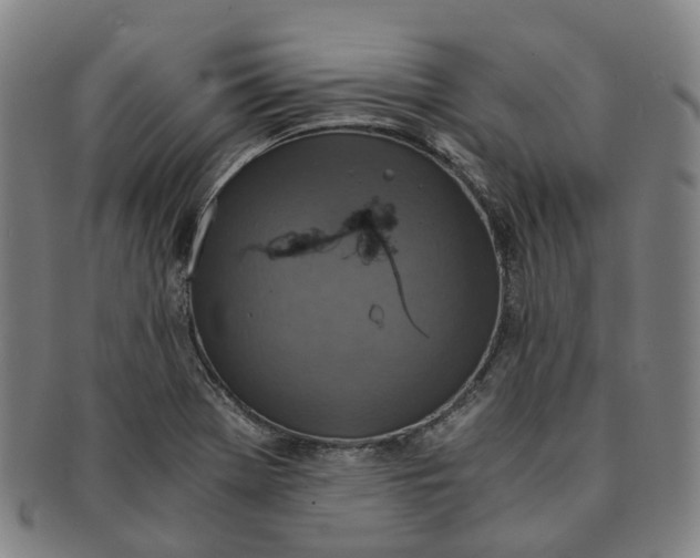 X0000091011369200708241503