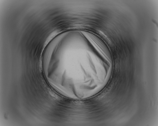 X0000091011370200708241503