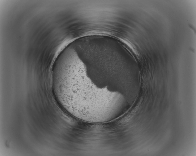 X0000091011371200708241503