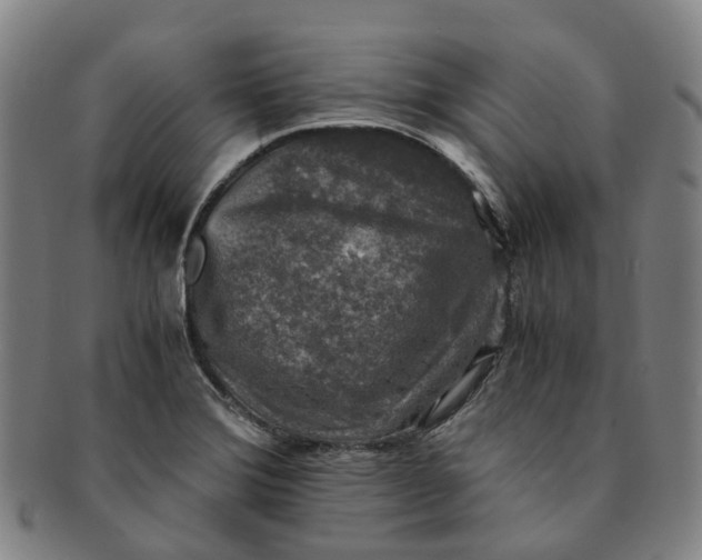 X0000091011372200708241503