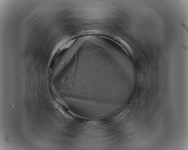 X0000091011373200708241503