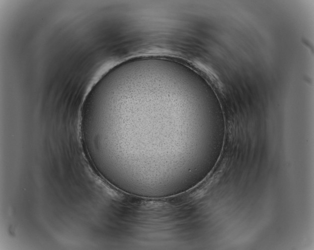 X0000091011374200708241503