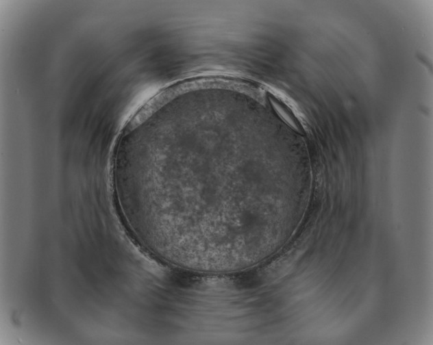 X0000091011375200708241503