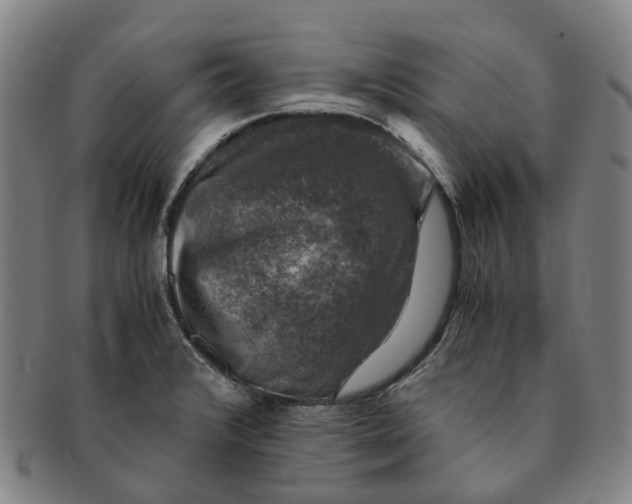 X0000091011376200708241503