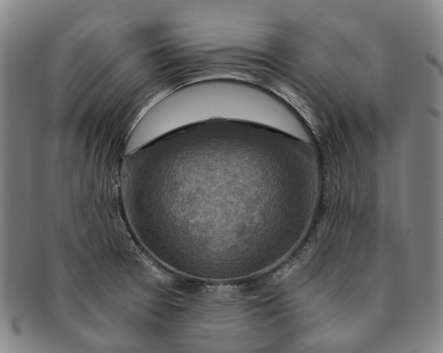 X0000091011377200708241503