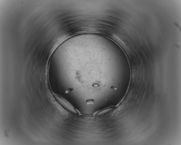 X0000091011378200708241503