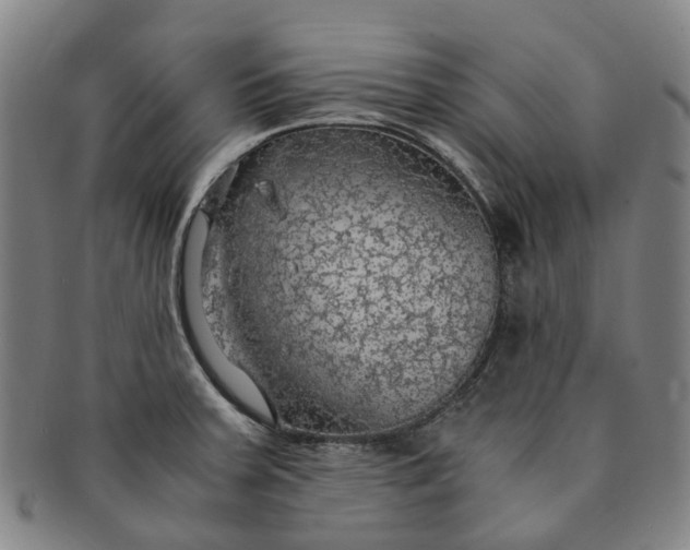 X0000091011379200708241503