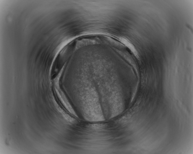 X0000091011380200708241503