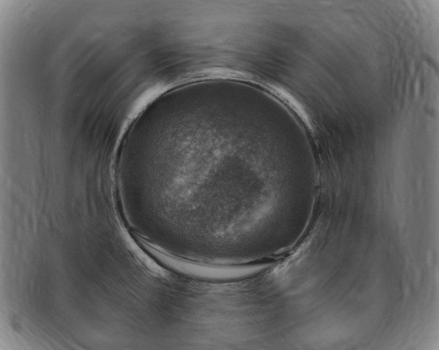 X0000091011381200708241503