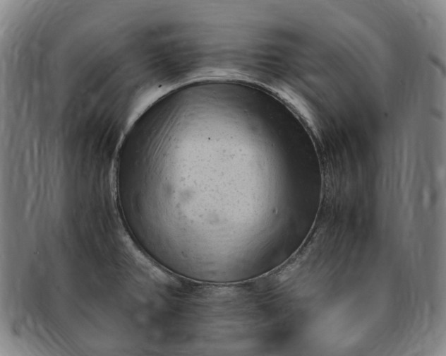 X0000091011382200708241503