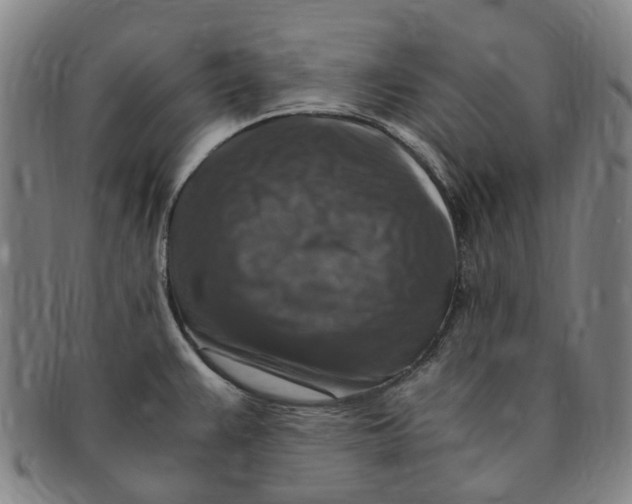 X0000091011383200708241503