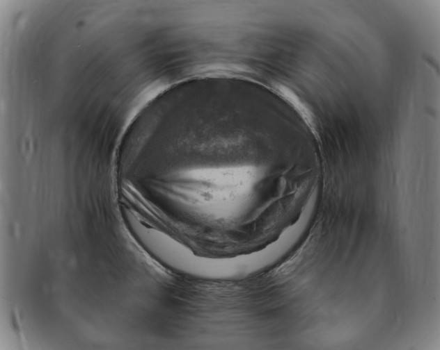 X0000091011384200708241502