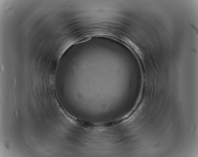 X0000091011385200708241502