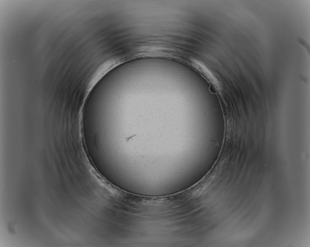 X0000091011386200708241502