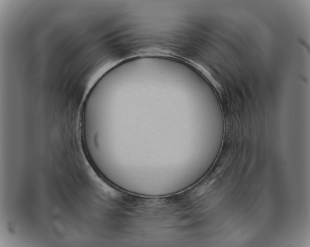 X0000091011387200708241502