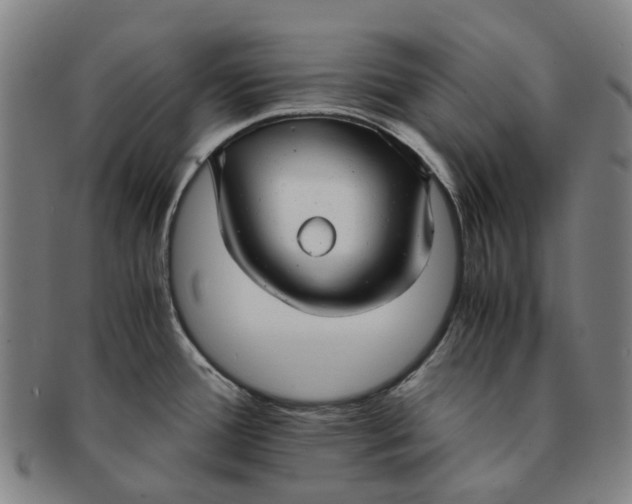 X0000091011388200708241502