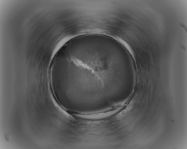 X0000091011389200708241502