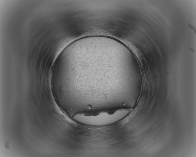 X0000091011390200708241502