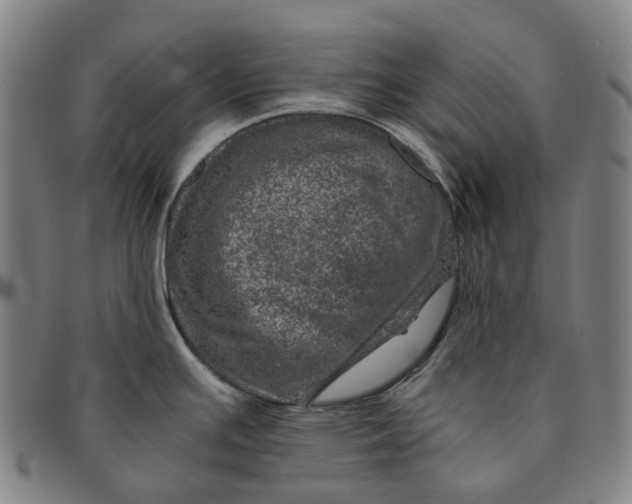 X0000091011391200708241502