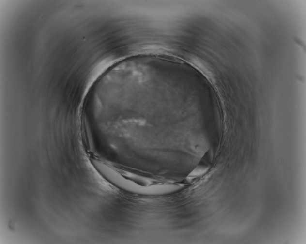 X0000091011392200708241502