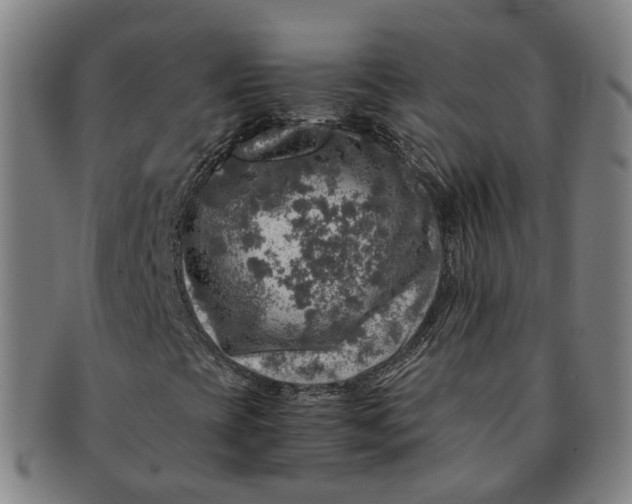 X0000091011393200708241502