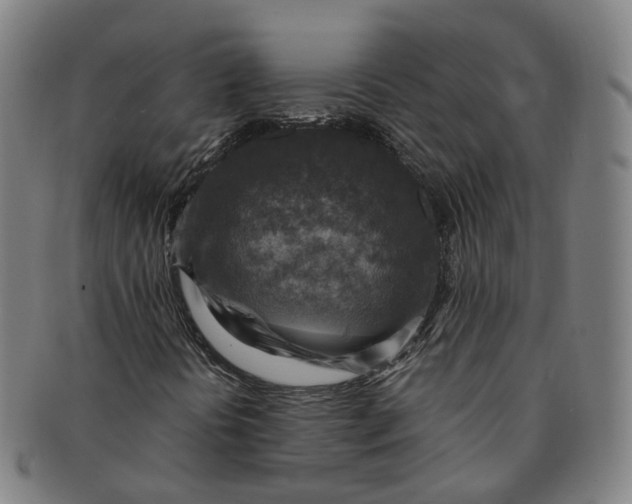 X0000091011394200708241502