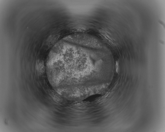 X0000091011395200708241502