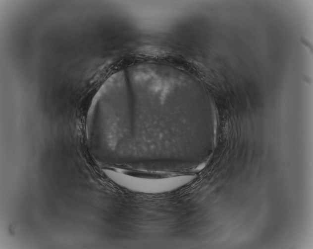 X0000091011397200708241502