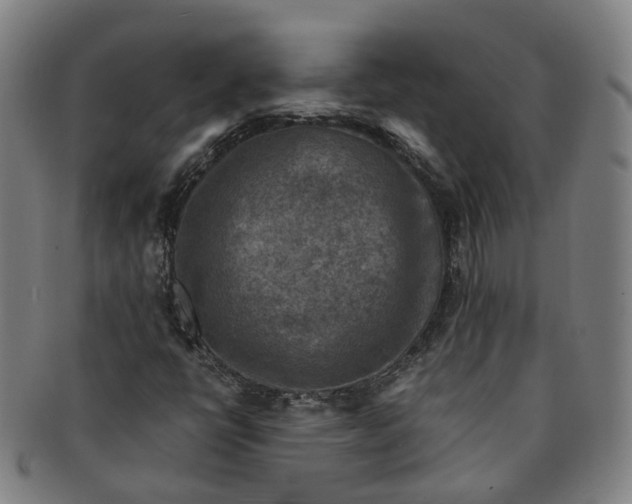 X0000091011398200708241502