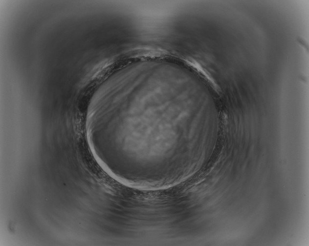 X0000091011399200708241502