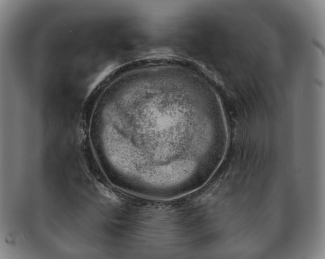 X0000091011400200708241502