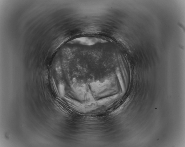 X0000091011401200708241502