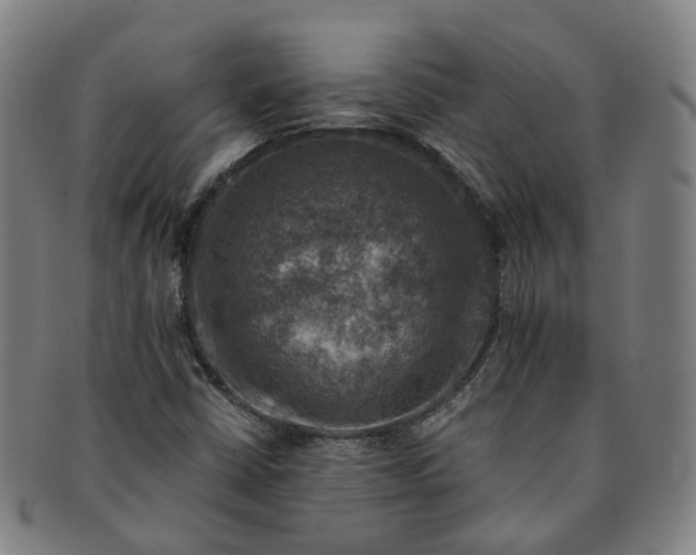 X0000091011402200708241502