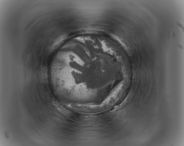 X0000091011403200708241502