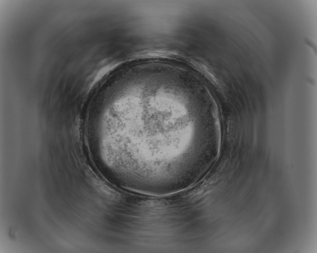 X0000091011404200708241502