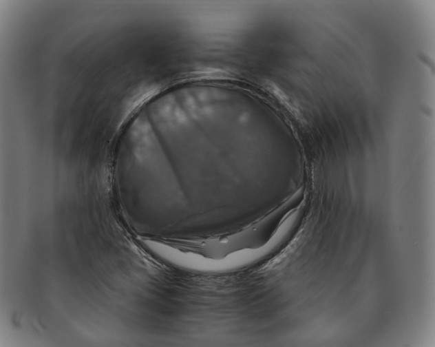 X0000091011405200708241502