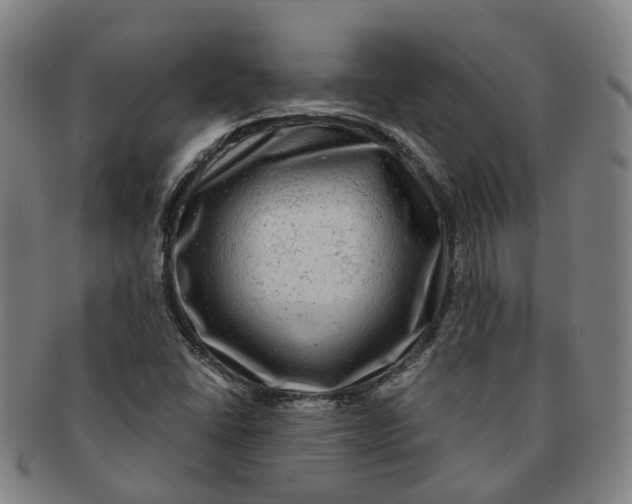 X0000091011406200708241502