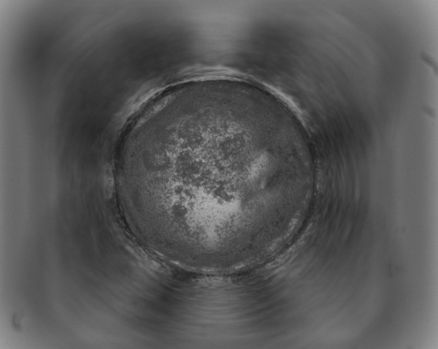 X0000091011407200708241502