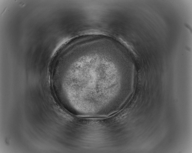 X0000091011408200708241502