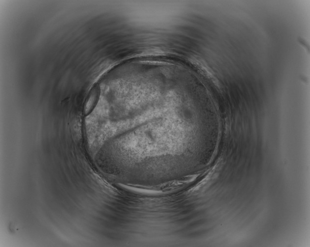 X0000091011409200708241502