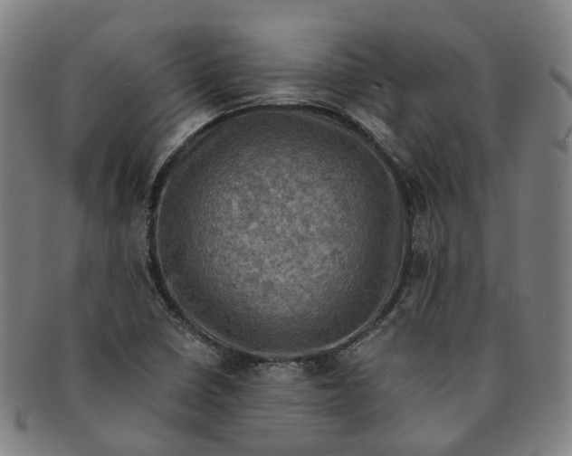 X0000091011410200708241502