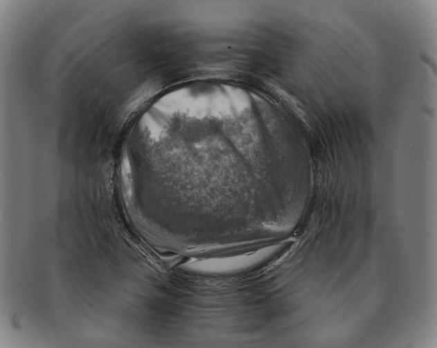 X0000091011411200708241502