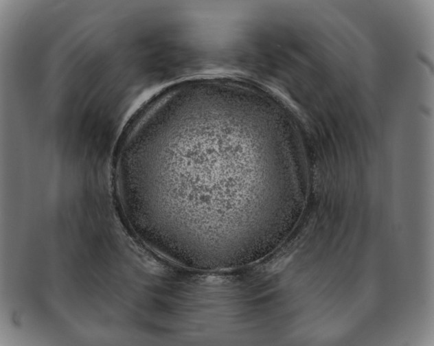 X0000091011412200708241502