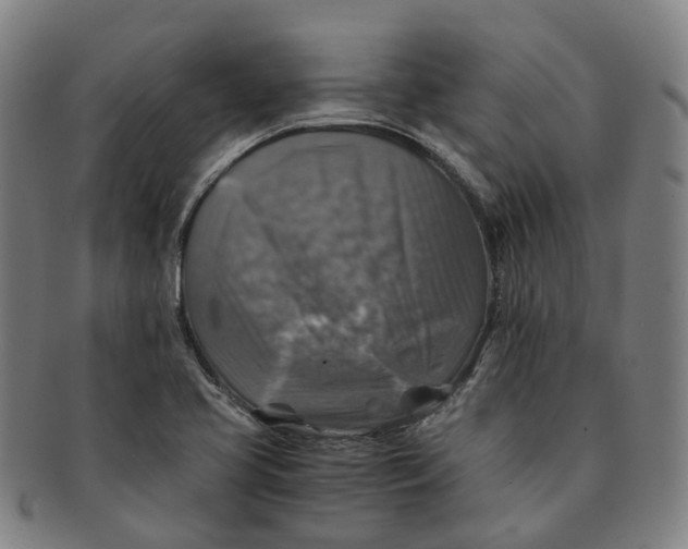 X0000091011413200708241502