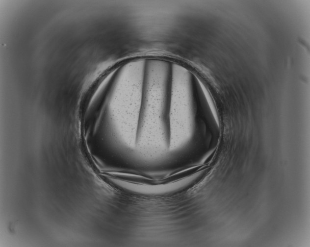 X0000091011414200708241502