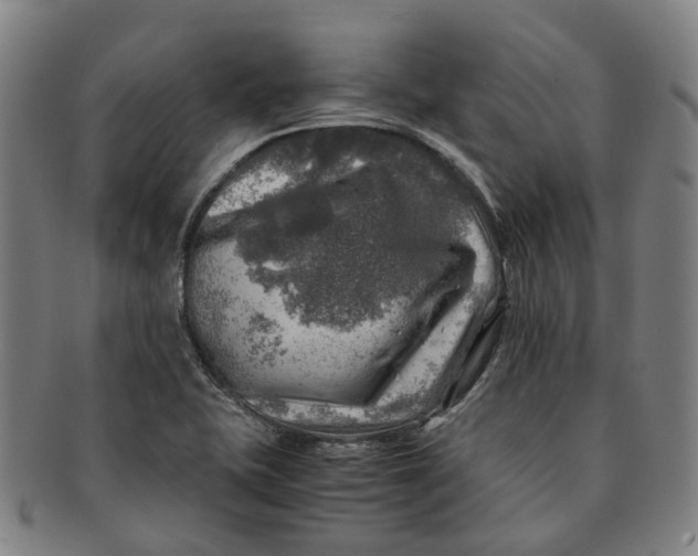 X0000091011415200708241502