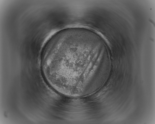 X0000091011416200708241502